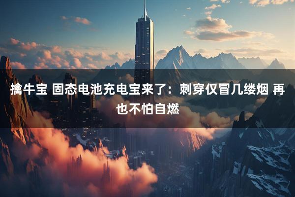 擒牛宝 固态电池充电宝来了：刺穿仅冒几缕烟 再也不怕自燃